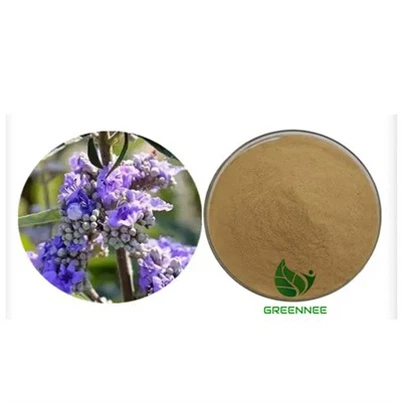 Dyfyniad Chastetree Berry 10:1 I 200:1