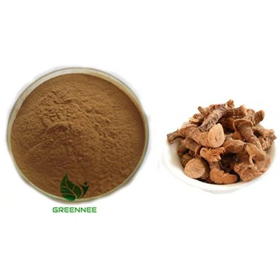 Darganfod Rhizome Galangal Lleiaf 10:1 I 200:1